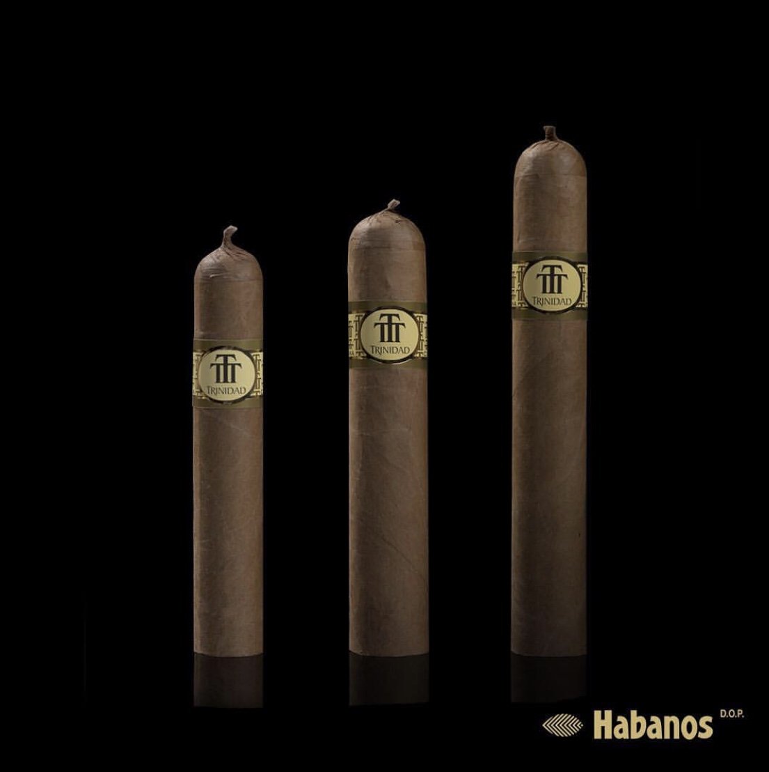 Trinidad 2019 Releases