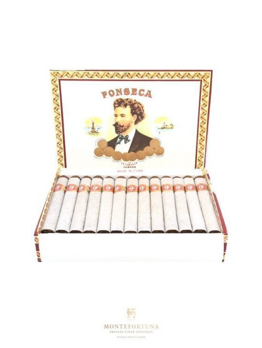 Fonseca KDT
