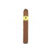 Trinidad Reyes