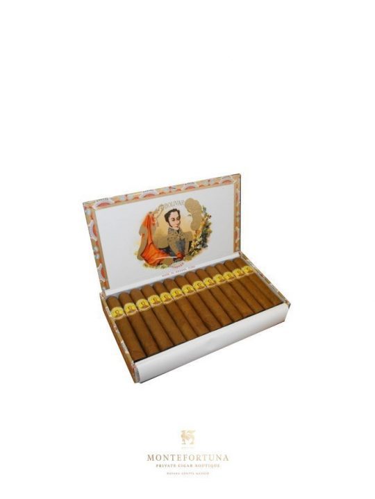 Bolivar Coronas Junior