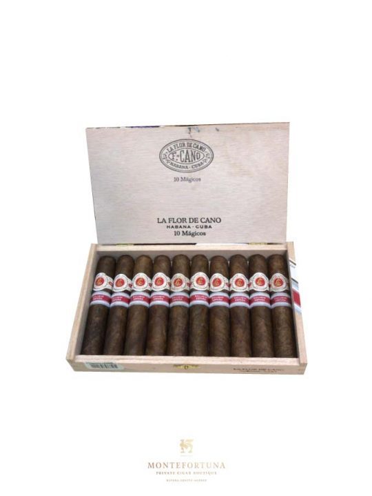 La Flor de Cano Magicos