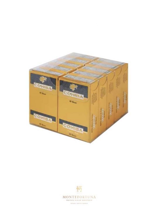 Cohiba Shorts