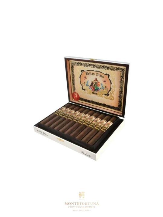 Bellas Artes Maduro Robusto
