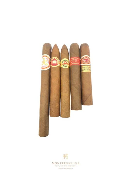 Large Cigars Sampler