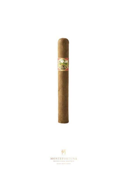Cibao Corona Gorda