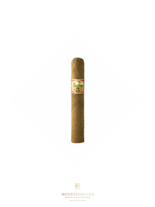 Cibao Robustos
