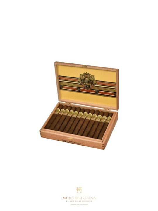 Ashton VSG Robusto (24)