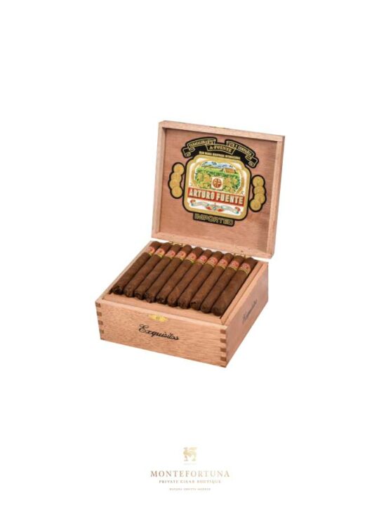 Arturo Fuente Exquisitos (50)