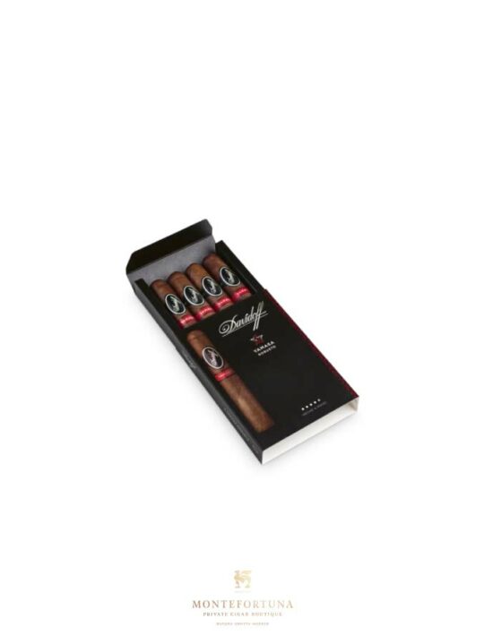 Davidoff Yamasa Robusto (4)